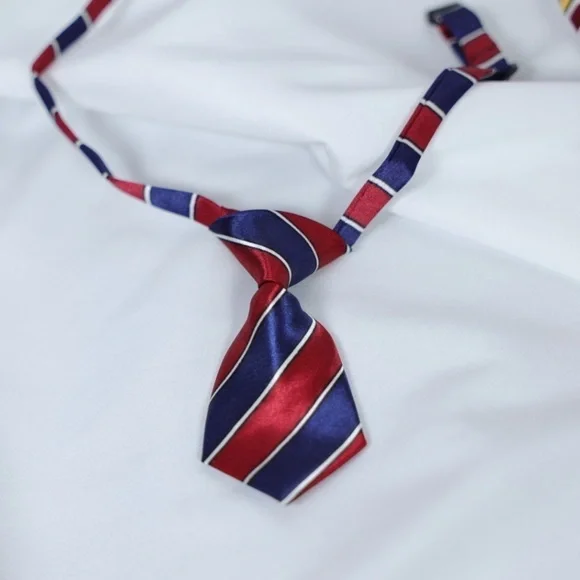 🅽🅴🆆 striped adjustable dog tie cat pet tie, funny pet ties dog cat clothes - Picture 4 of 11